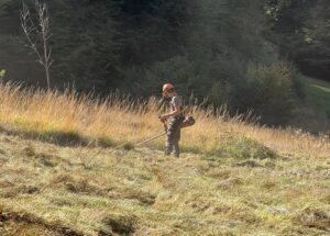 IMG_5349