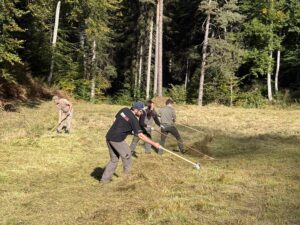 IMG_5357(1)
